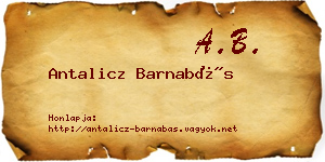 Antalicz Barnabás névjegykártya