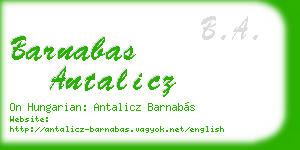 barnabas antalicz business card